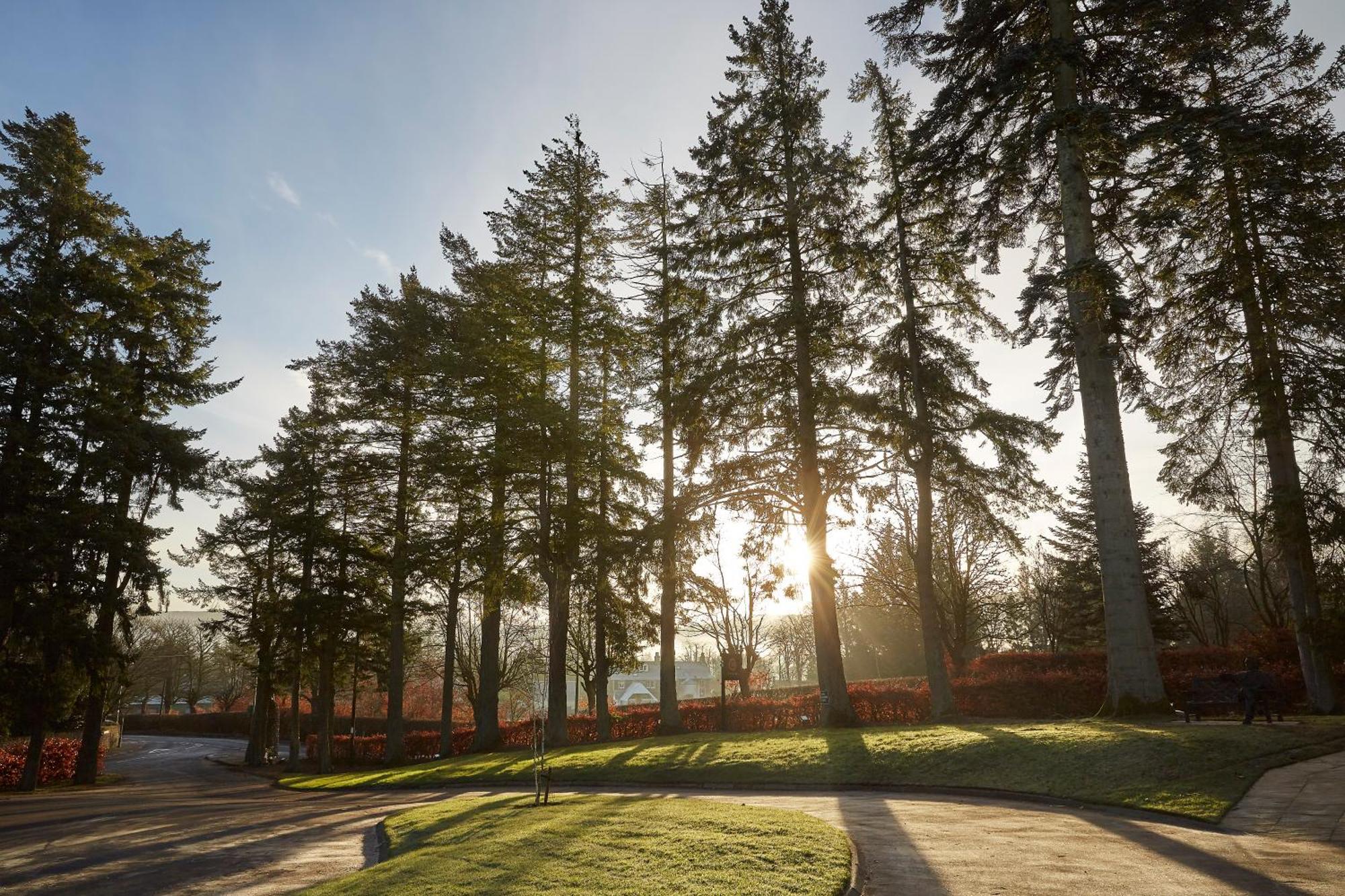 Cairn Lodge 오치터라더 외부 사진